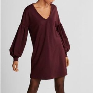 Express Balloon Sleeve Shift Dress